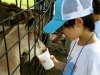boygoat
