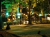 A Mouse in Downtown Greenville. Photo by Alex. 